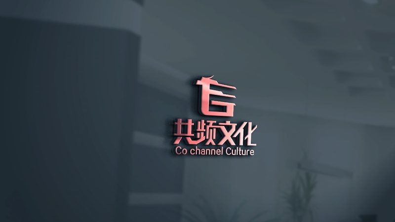 北京传媒公司品牌盘点：揭秘优质内容背后的力量
